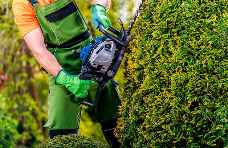 Residential & Commercial Cleaning Services