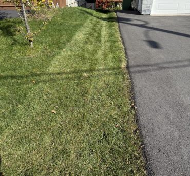 469880251_122126529542516008_3508396971989141801_n